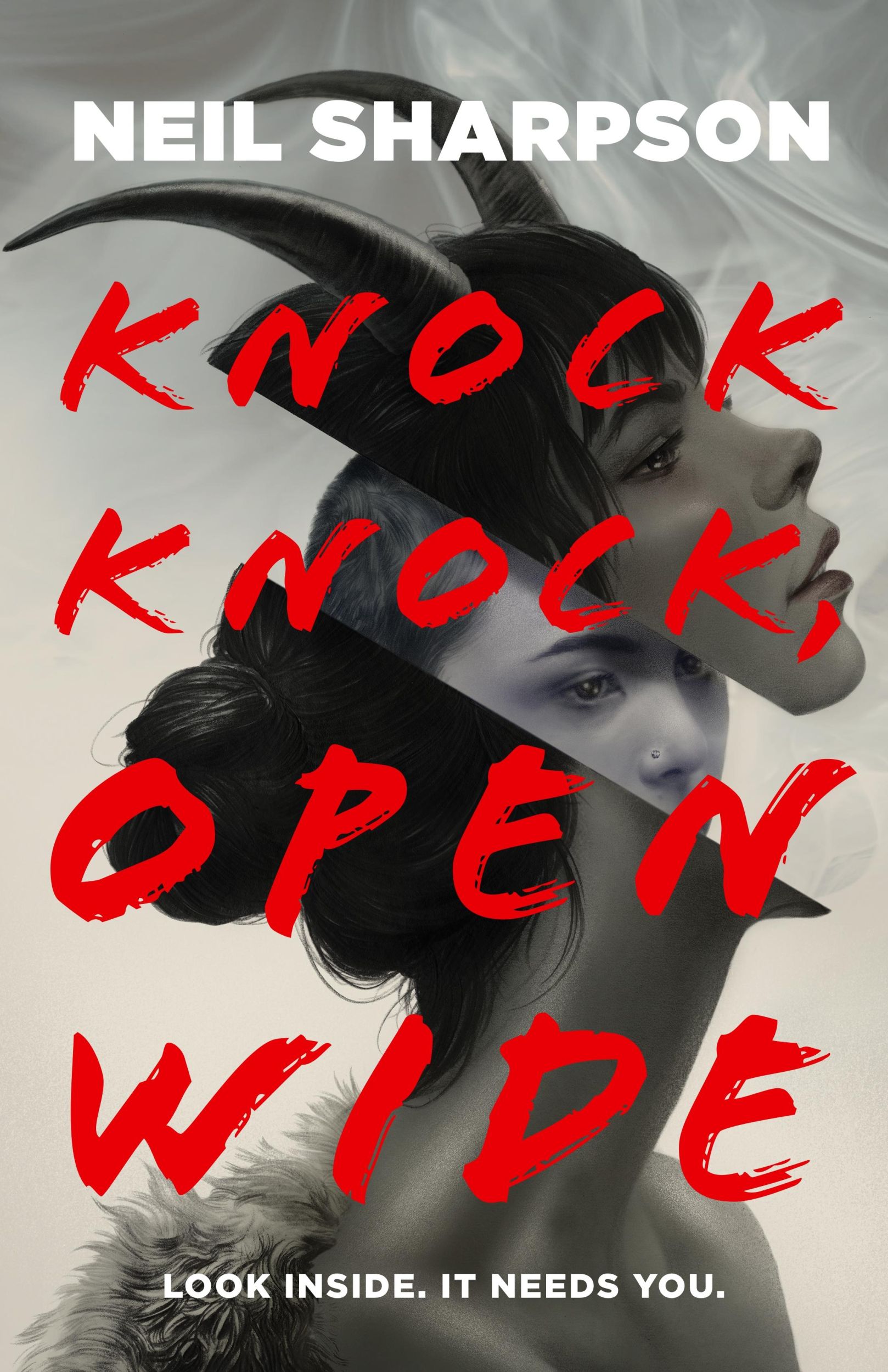 Autor: 9781250785480 | Knock Knock, Open Wide | Neil Sharpson | Taschenbuch | Englisch | 2024