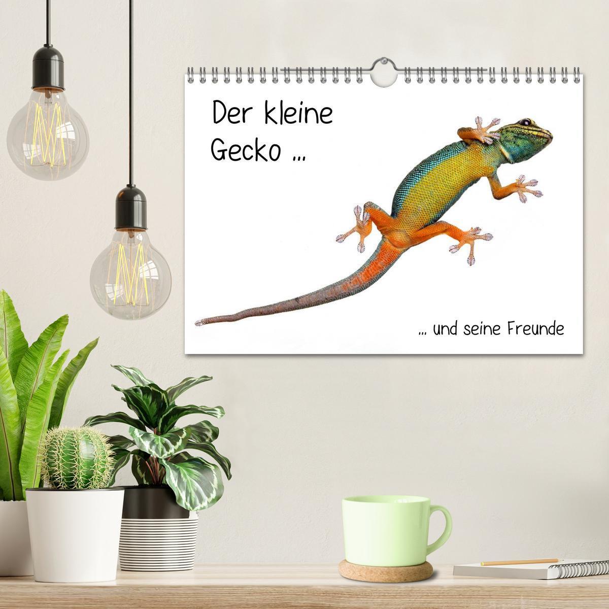 Bild: 9783435819423 | Der kleine Gecko und seine Freunde (Wandkalender 2025 DIN A4 quer),...