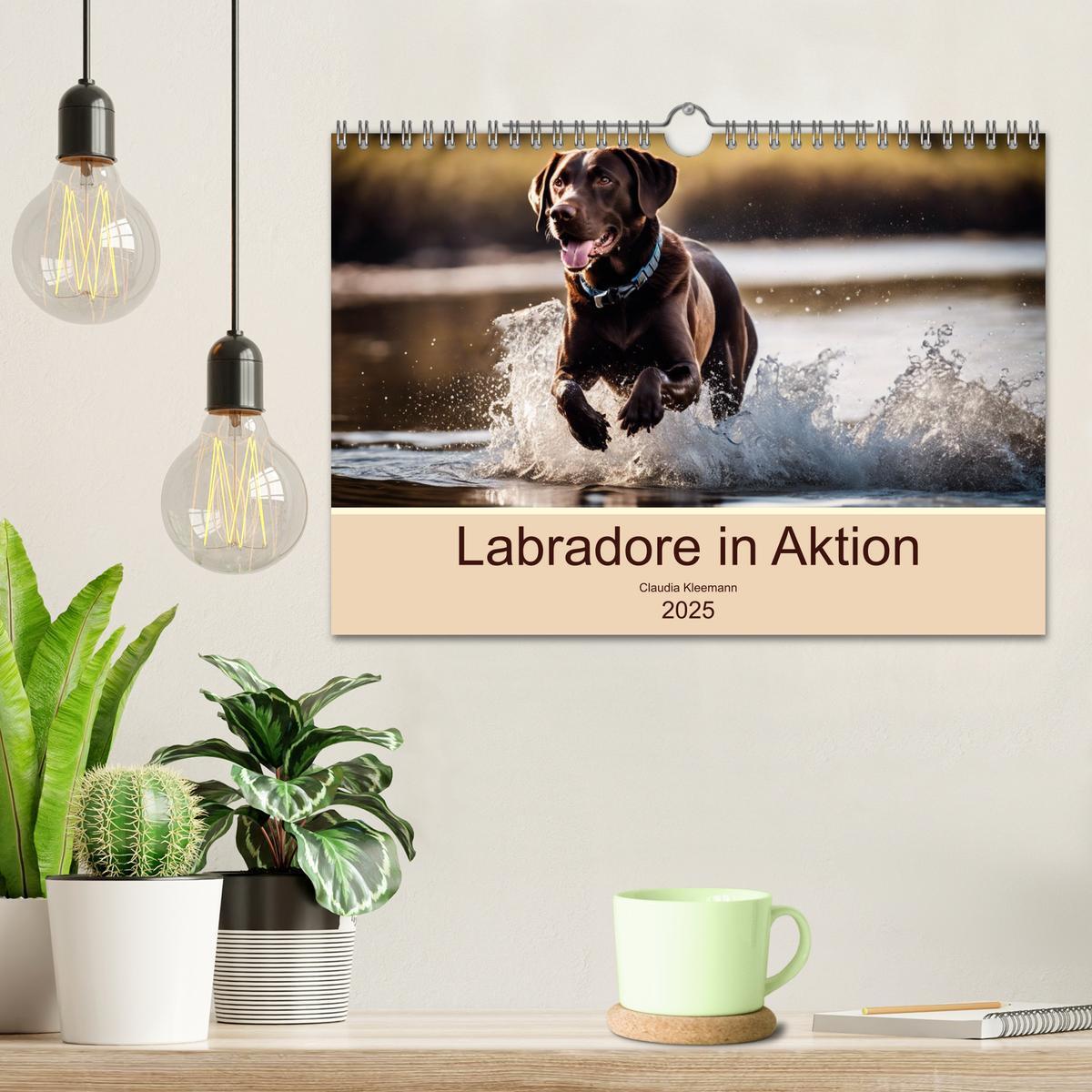 Bild: 9783435687725 | Labradore in Aktion (Wandkalender 2025 DIN A4 quer), CALVENDO...