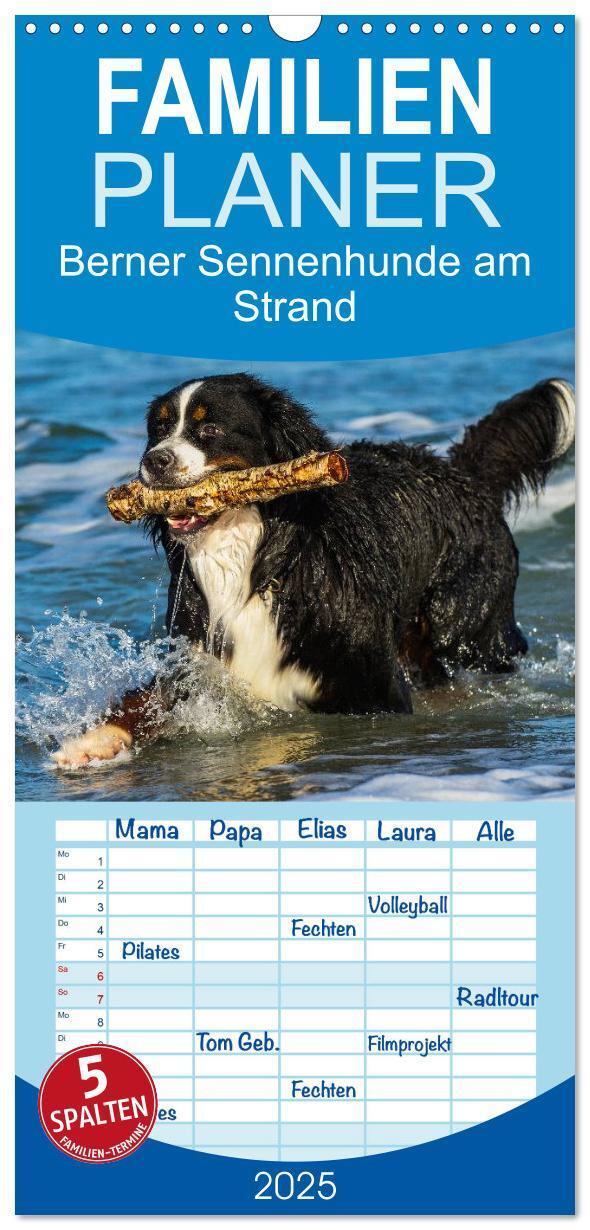 Cover: 9783457125229 | Familienplaner 2025 - Berner Sennenhunde am Strand mit 5 Spalten...