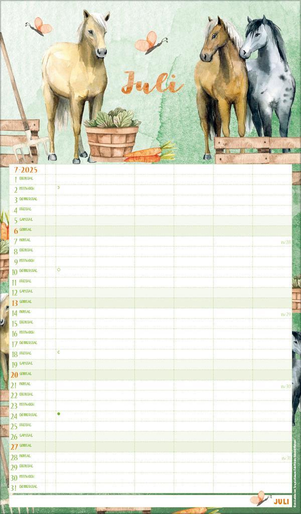 Bild: 9783731877127 | Familienplaner Aquarell 2025 | Verlag Korsch | Kalender | 14 S. | 2026