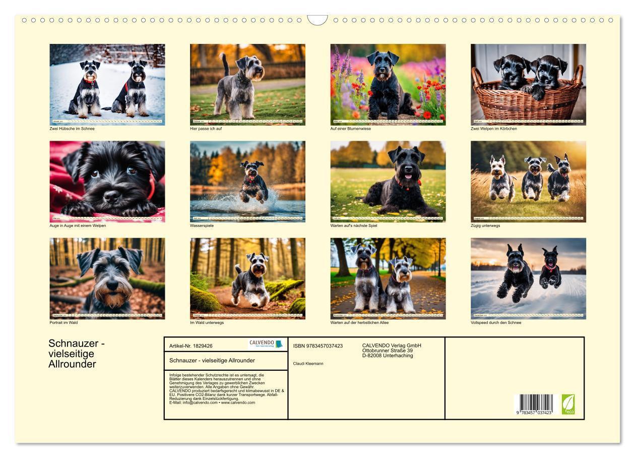 Bild: 9783457037423 | Schnauzer - vielseitige Allrounder (Wandkalender 2025 DIN A2 quer),...