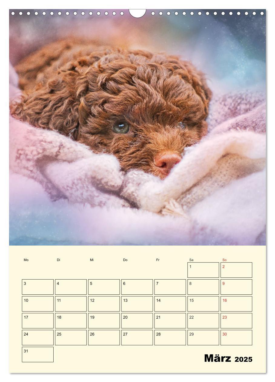 Bild: 9783435952236 | Jahresplaner Lagotto Romagnolo Welpen (Wandkalender 2025 DIN A3...