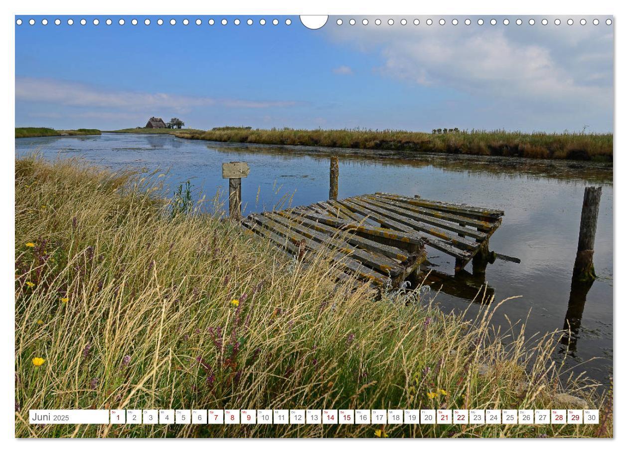 Bild: 9783435256853 | Sommertage auf Hallig Hooge (Wandkalender 2025 DIN A3 quer),...