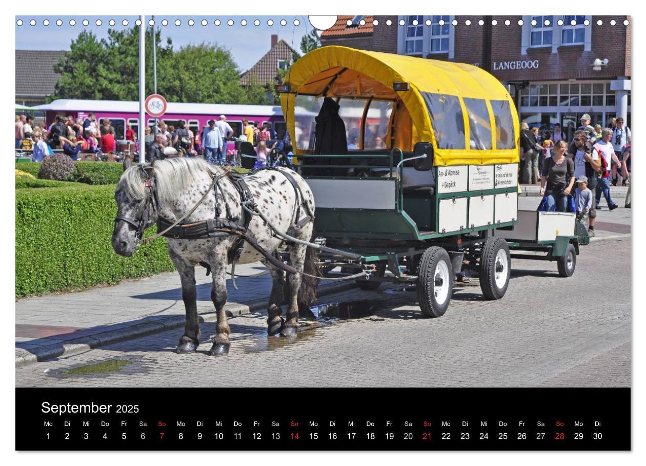 Bild: 9783435819867 | Ostfriesische Inseln (Wandkalender 2025 DIN A3 quer), CALVENDO...