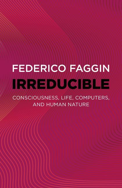 Cover: 9781803415093 | Irreducible | Consciousness, Life, Computers, and Human Nature | Buch