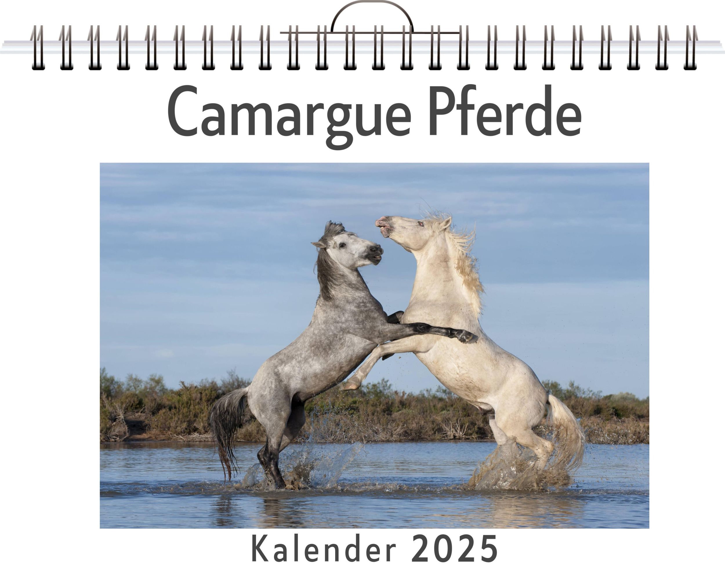 Cover: 9783759132260 | Camargue Pferde | Lina Koch | Kalender | Kalender | 14 S. | Deutsch