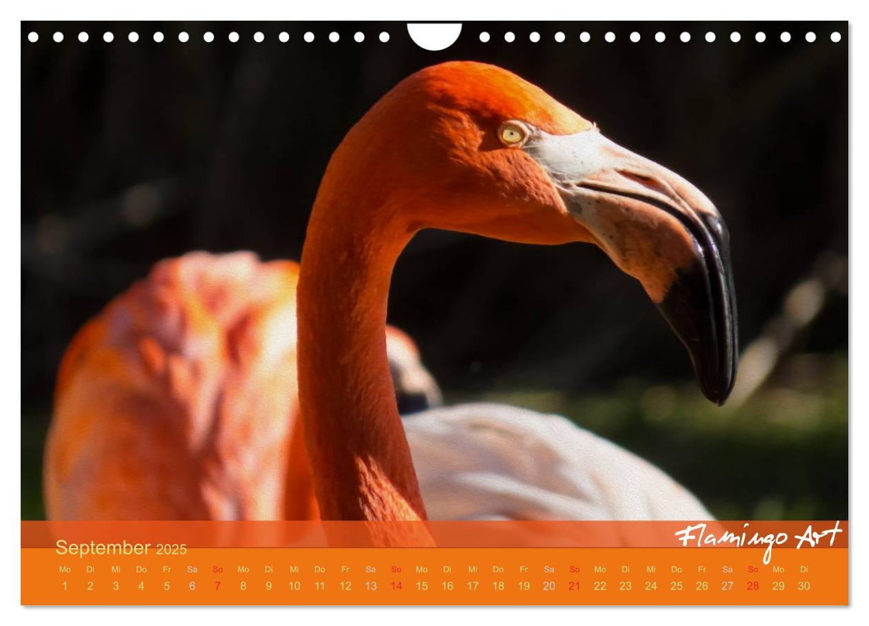 Bild: 9783435819706 | Flamingo Art 2025 (Wandkalender 2025 DIN A4 quer), CALVENDO...