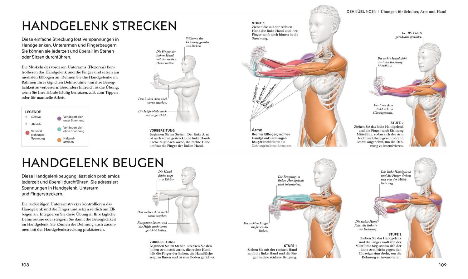 Bild: 9783831048366 | Stretching - Die Anatomie verstehen | Leada Malek | Buch | 224 S.