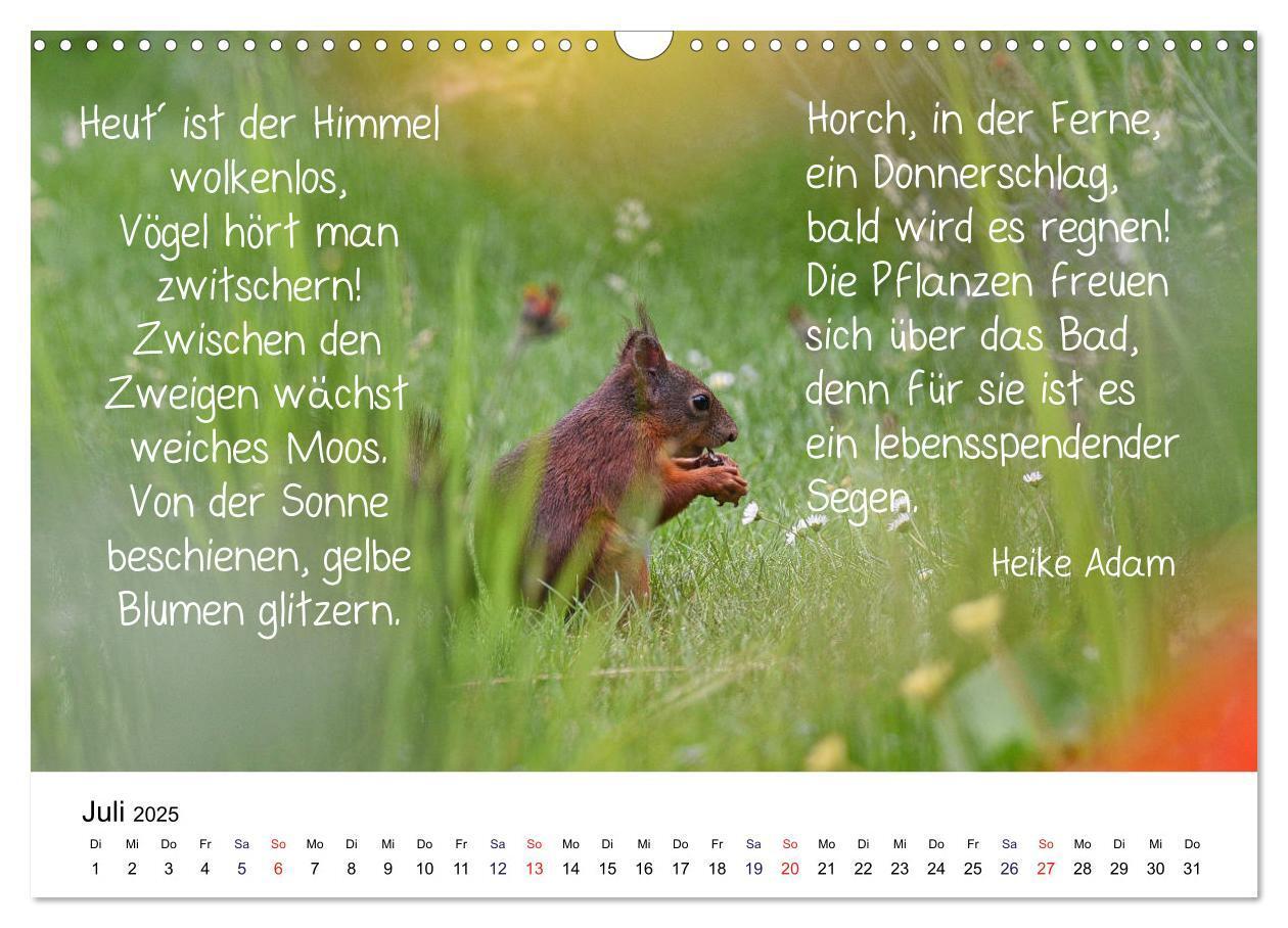 Bild: 9783435433926 | Der literarische Eichhörnchen-Kalender (Wandkalender 2025 DIN A3...