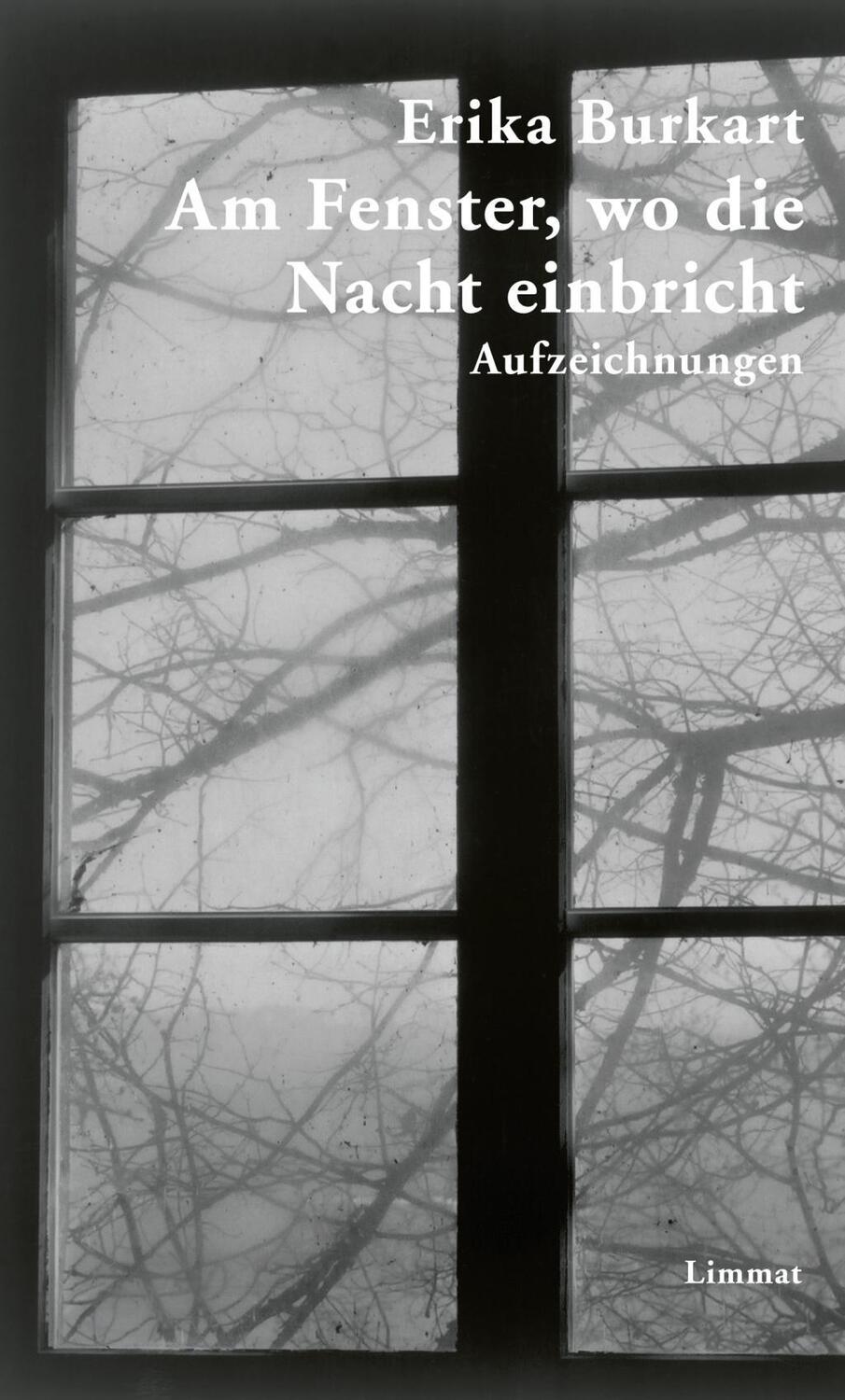 Cover: 9783857916960 | Am Fenster, wo die Nacht einbricht | Aufzeichnungen | Erika Burkart