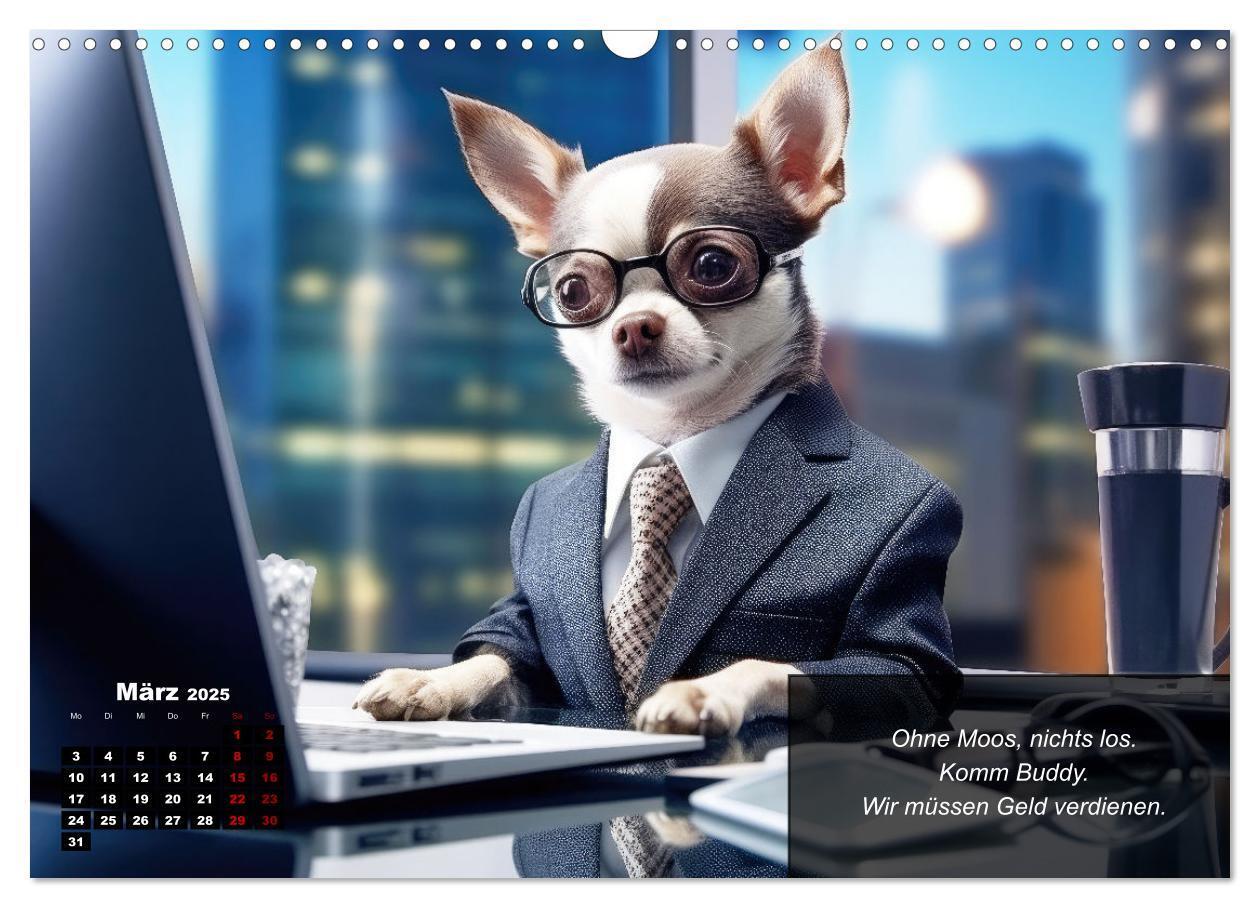 Bild: 9783457129425 | Lustige Chihuahua-Momente (Wandkalender 2025 DIN A3 quer), CALVENDO...