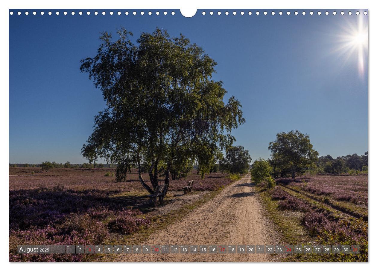 Bild: 9783383851728 | Die Lüneburger Heide - In voller Blüte (Wandkalender 2025 DIN A3...