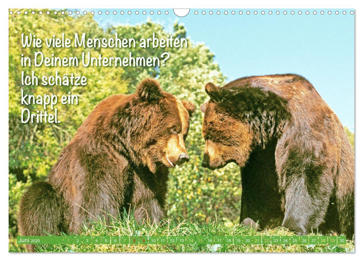 Bild: 9783383880773 | Spaß mit Bären: Edition lustige Tiere (Wandkalender 2025 DIN A3...