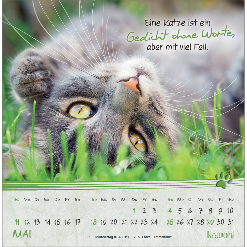 Bild: 9783754816950 | Kleine Katzen-Tatzen 2025 | Postkarten-Kalender | Kalender | 13 S.