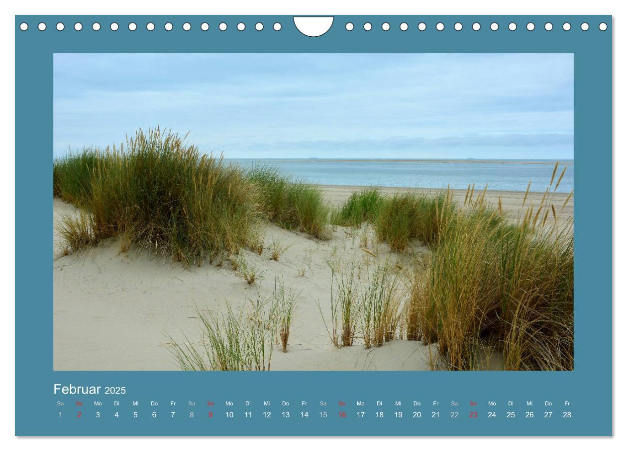 Bild: 9783435276707 | Sanddünen an der Nordsee in den Niederlanden (Wandkalender 2025 DIN...