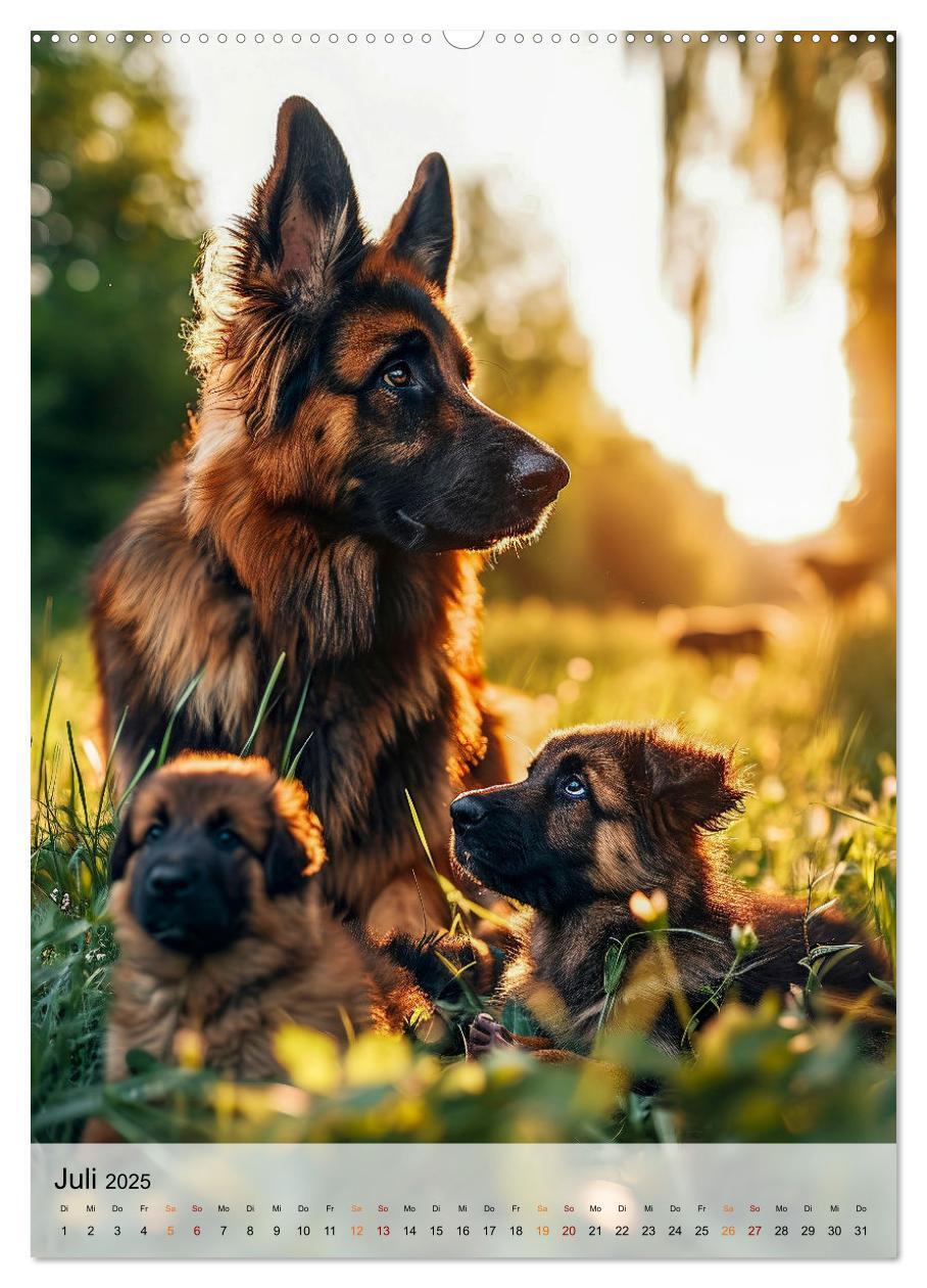 Bild: 9783383773464 | Deutscher Schäferhund - mutig und zuverlässig (hochwertiger Premium...