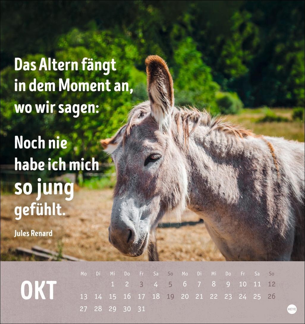 Bild: 9783756407187 | Alt! Aber gut drauf Postkartenkalender 2025 - Der tierische...