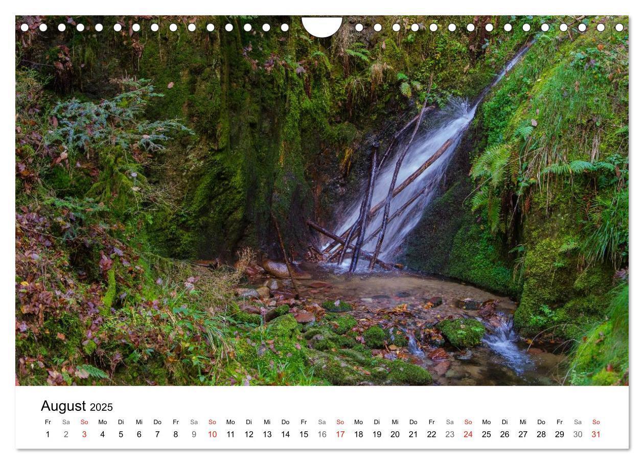 Bild: 9783435580118 | Naturerlebnis Nordschwarzwald (Wandkalender 2025 DIN A4 quer),...