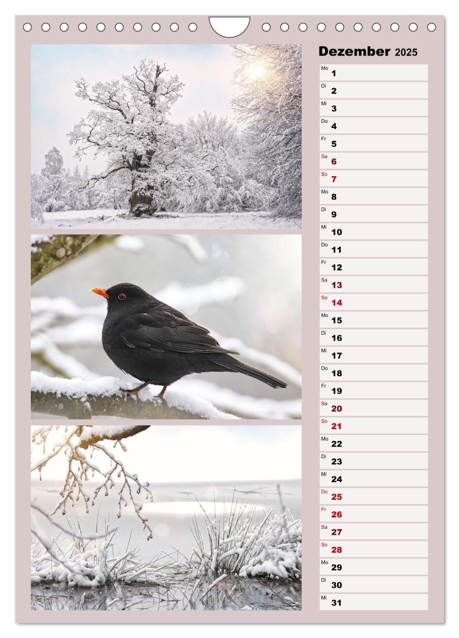 Bild: 9783457146224 | Harmonie der Farben in Landschaft und Natur (Wandkalender 2025 DIN...