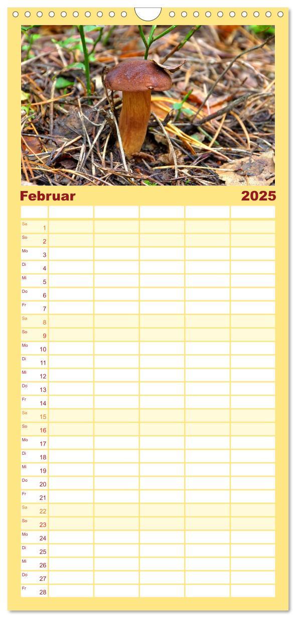 Bild: 9783457104149 | Familienplaner 2025 - Heimische Pilze mit 5 Spalten (Wandkalender,...