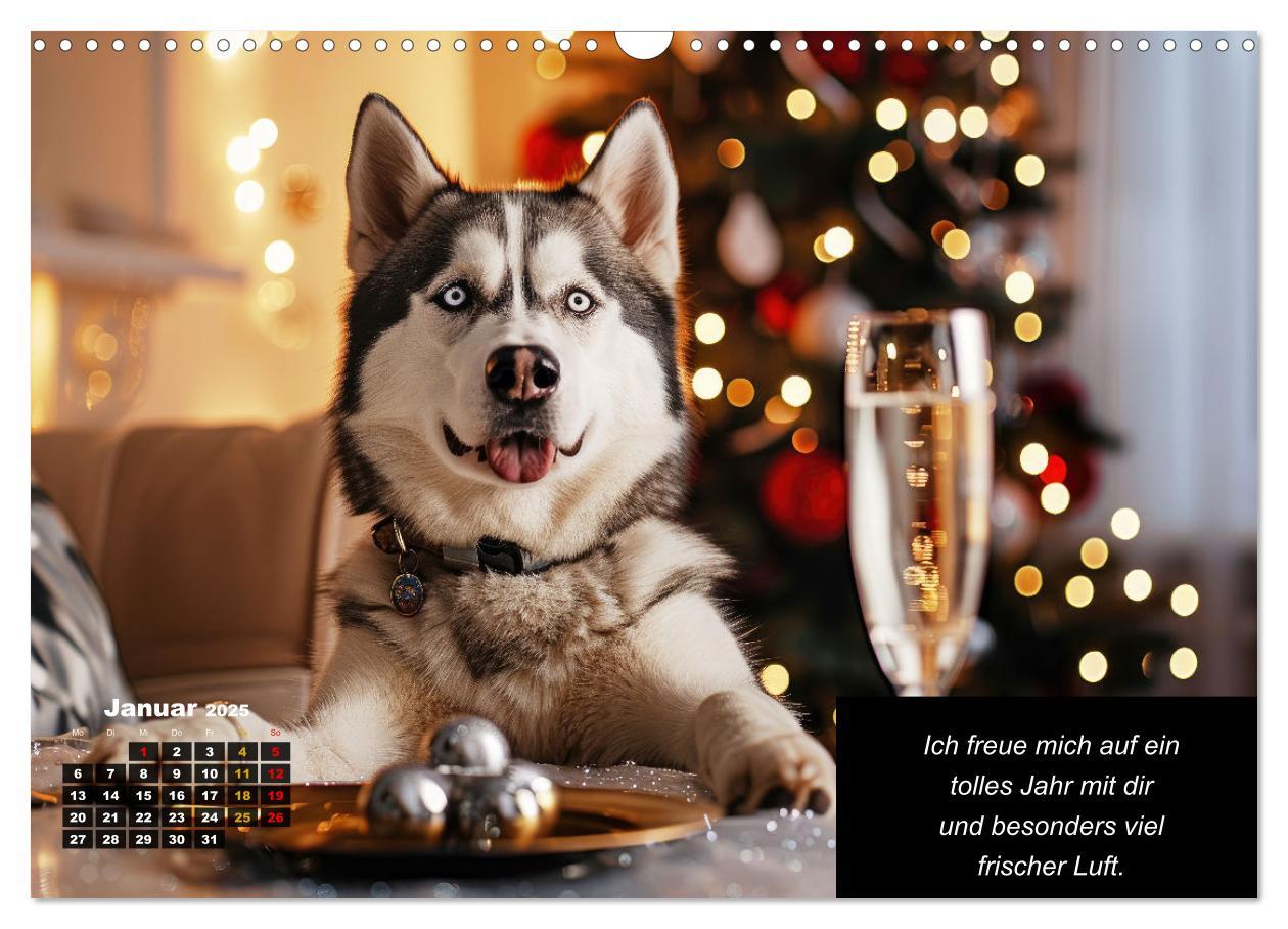 Bild: 9783435647200 | Der tierisch lustige Husky Kalender (Wandkalender 2025 DIN A3...