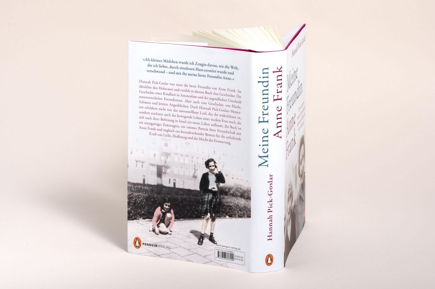 Bild: 9783328603009 | Meine Freundin Anne Frank | Hannah Pick-Goslar | Buch | 384 S. | 2023