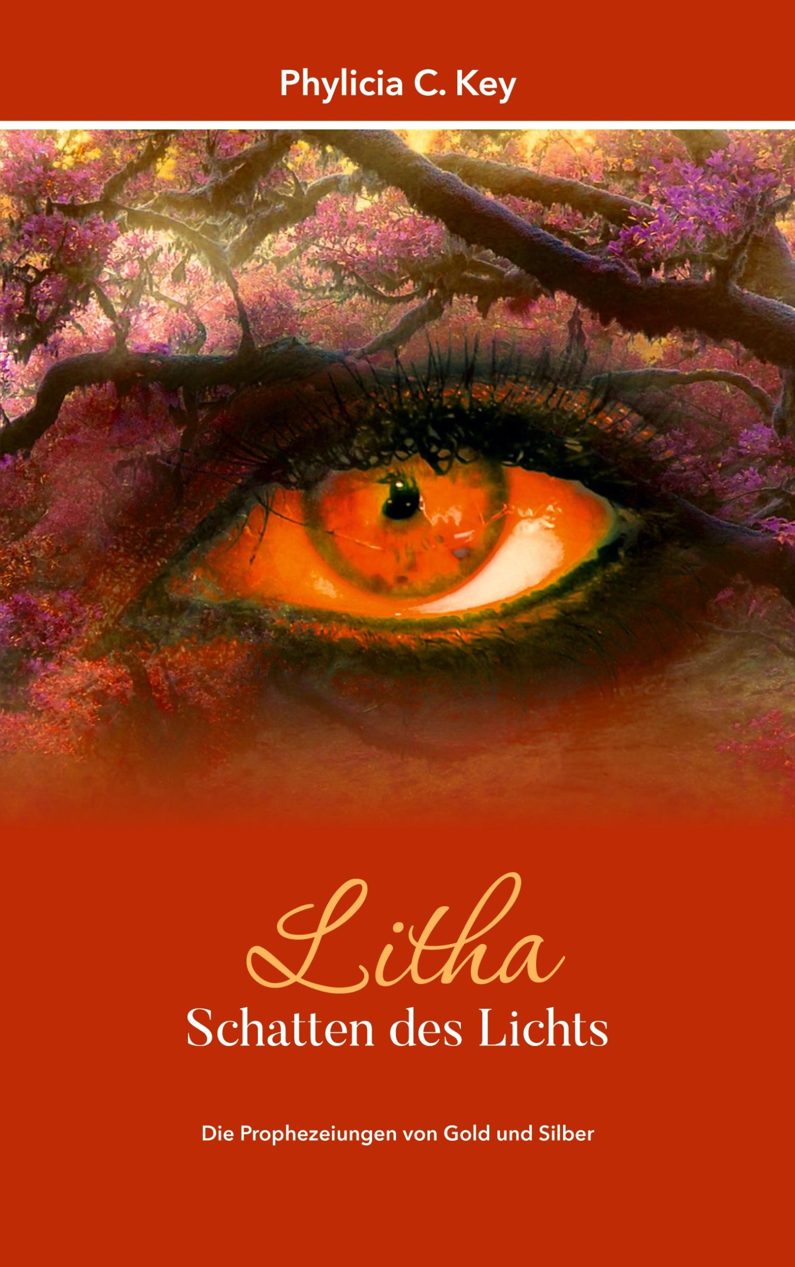 Cover: 9783740771492 | Litha - Schatten des Lichts | Die Prophezeiungen von Gold und Silber