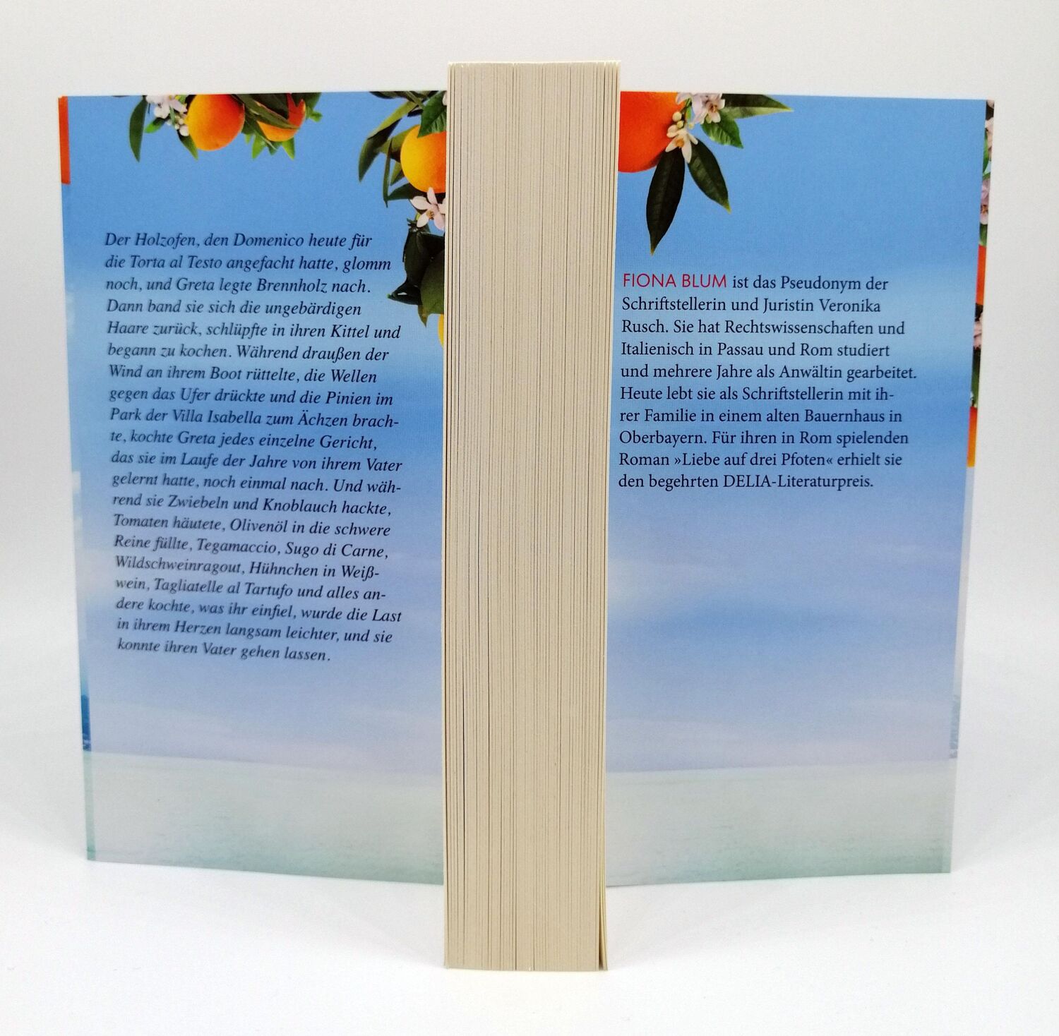 Bild: 9783442206438 | Die Insel der Orangenblüten | Roman | Fiona Blum | Taschenbuch | 2023