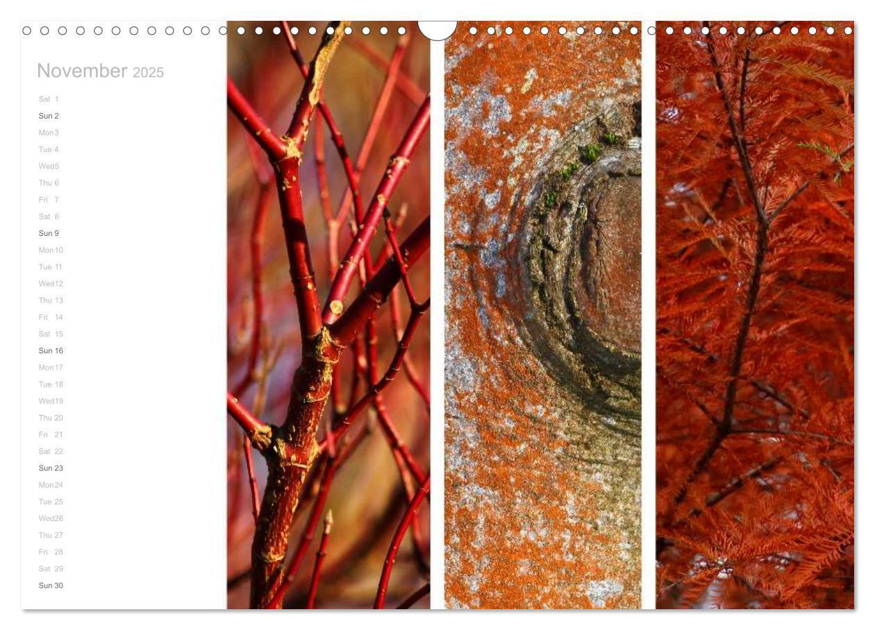 Bild: 9781325962907 | Natural Trios (Wall Calendar 2025 DIN A3 landscape), CALVENDO 12...