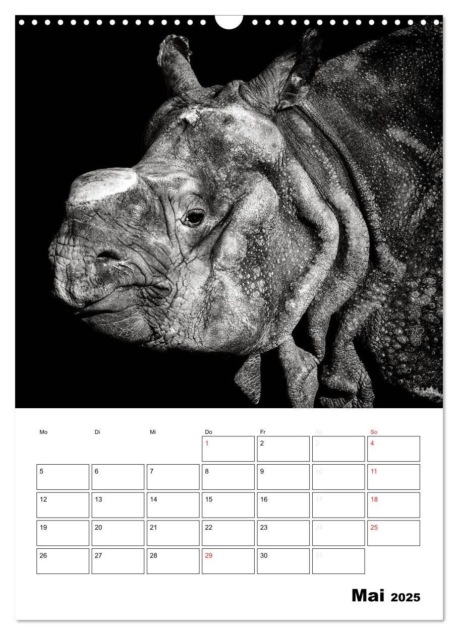 Bild: 9783457013199 | Charakterköpfe aus der Welt der Tiere (Wandkalender 2025 DIN A3...