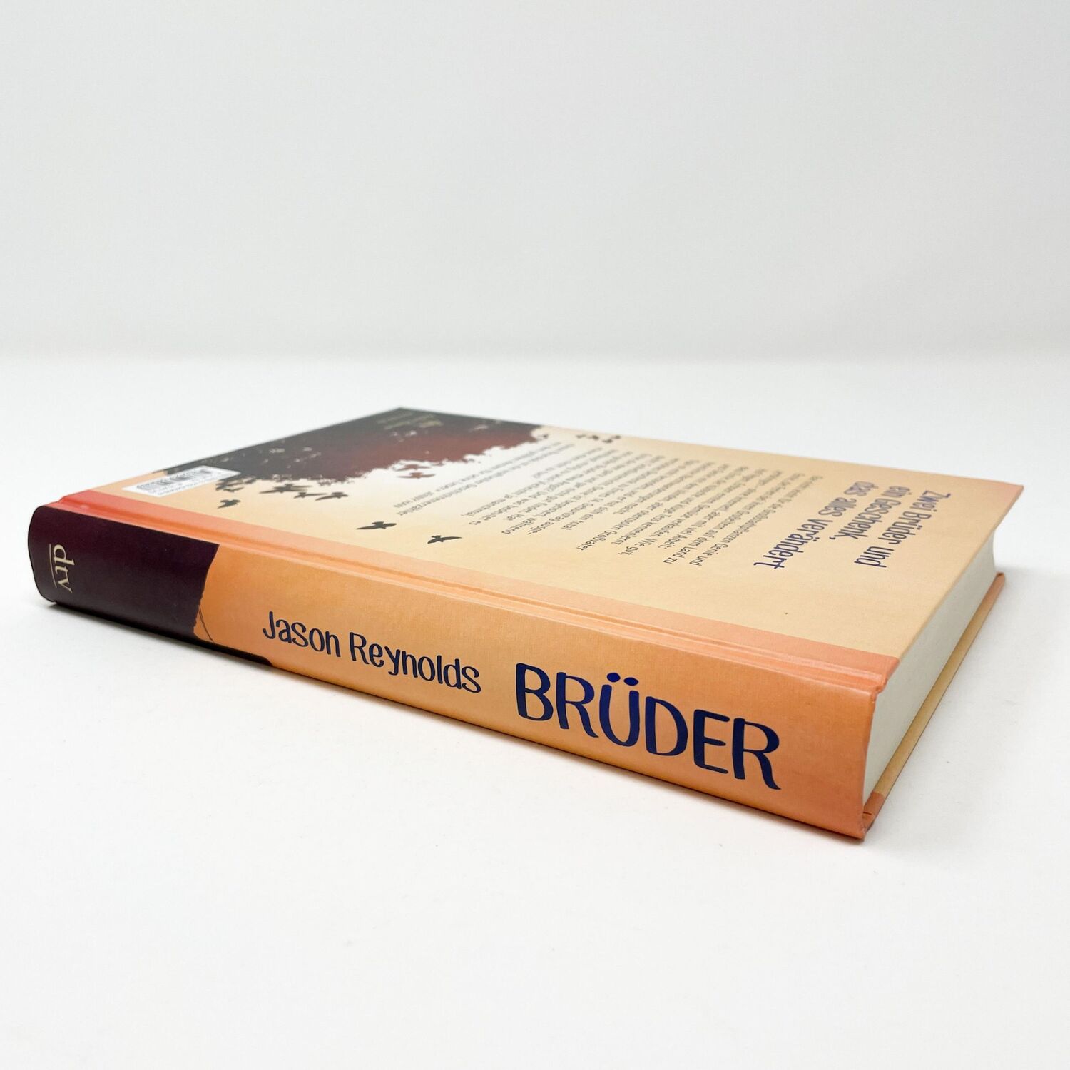 Bild: 9783423640688 | Brüder | Jason Reynolds | Buch | 384 S. | Deutsch | 2020