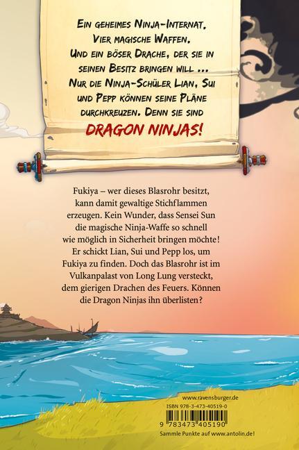 Bild: 9783473405190 | Dragon Ninjas, Band 2: Der Drache des Feuers | Michael Petrowitz