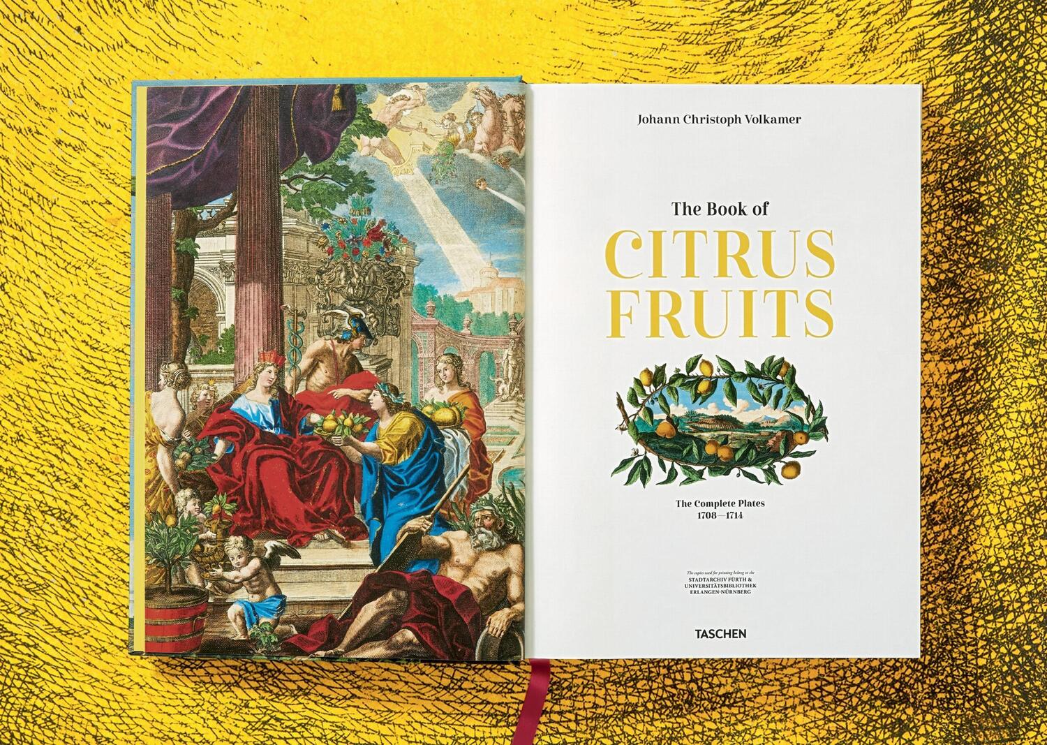 Bild: 9783836535250 | J. C. Volkamer. The Book of Citrus Fruits | Collector's Edition | Buch