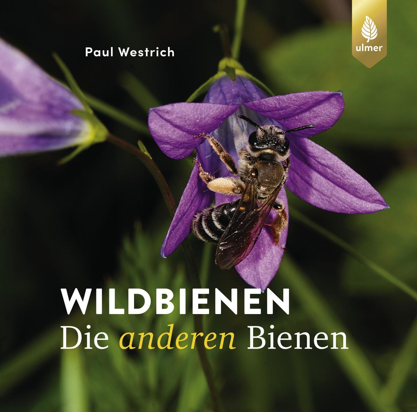 Cover: 9783818620868 | Wildbienen, die anderen Bienen | Paul Westrich | Buch | 208 S. | 2024