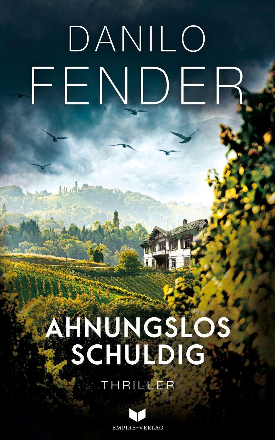 Cover: 9783985954100 | Ahnunglos schuldig | Thriller | Danilo Fender | Taschenbuch | 328 S.