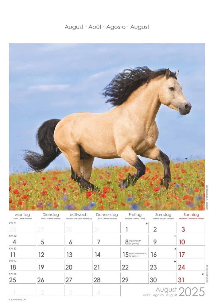 Bild: 4251732341022 | Alpha Edition - Pferde 2025 Wandkalender, 23,7x34cm, Bildkalender...