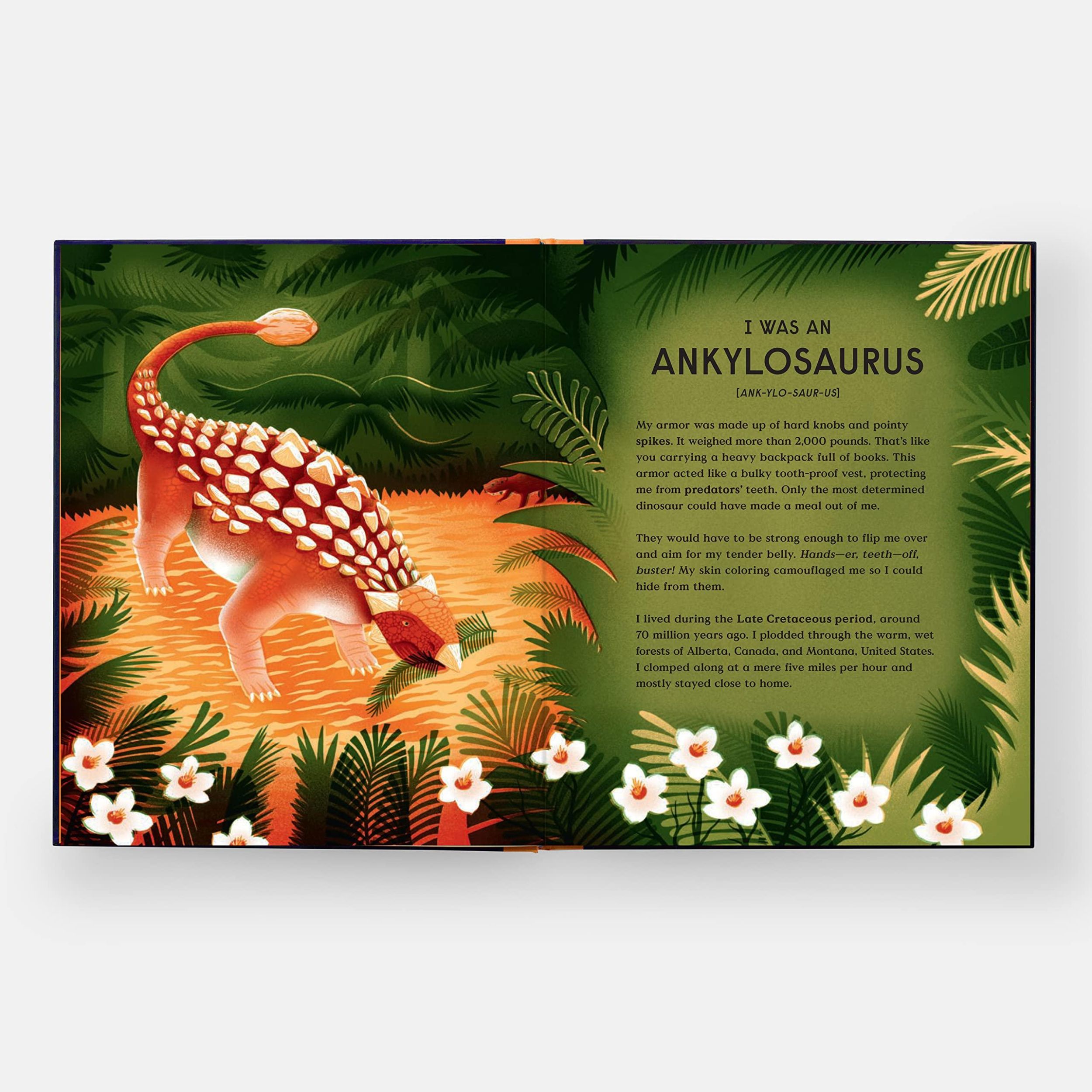 Bild: 9781838664251 | Book of Dinosaurs | 10 Record-Breaking Prehistoric Animals | Balkan