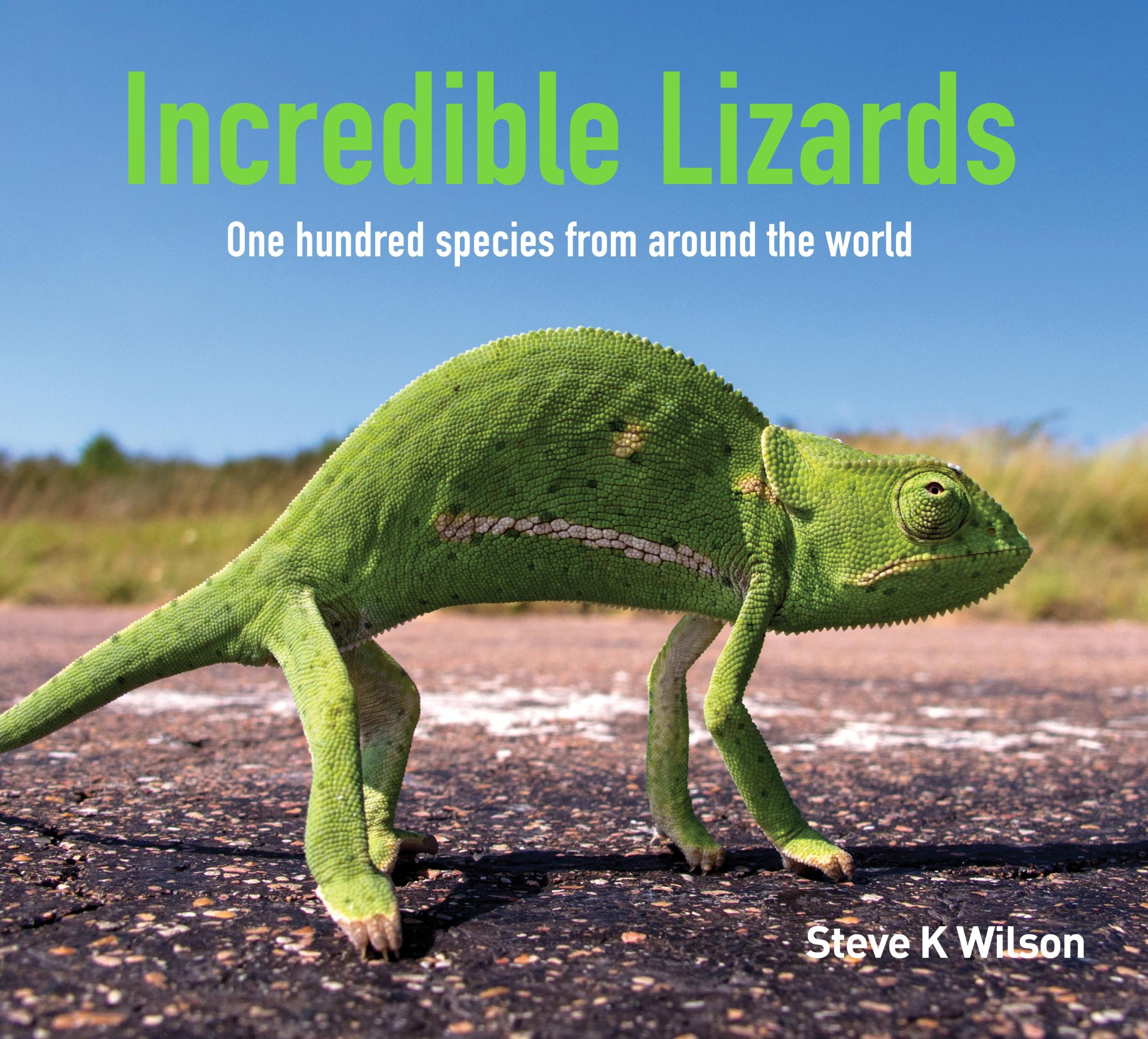 Cover: 9781925546989 | Incredible Lizards | One Hundred Species from Around the World | Buch