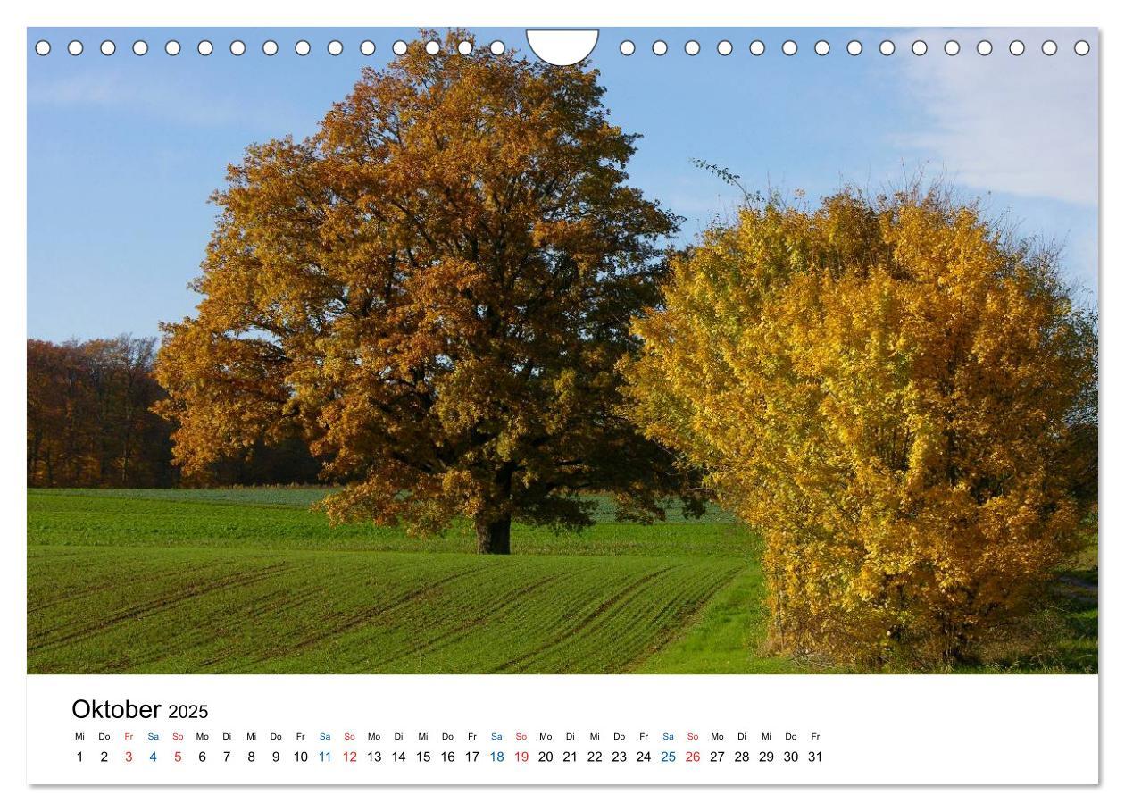 Bild: 9783435780471 | Felder und Wiesen (Wandkalender 2025 DIN A4 quer), CALVENDO...