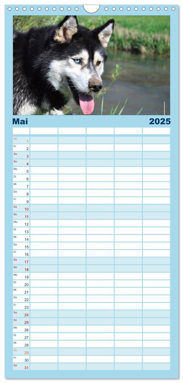 Bild: 9783457113264 | Familienplaner 2025 - Husky-Kalender mit 5 Spalten (Wandkalender,...