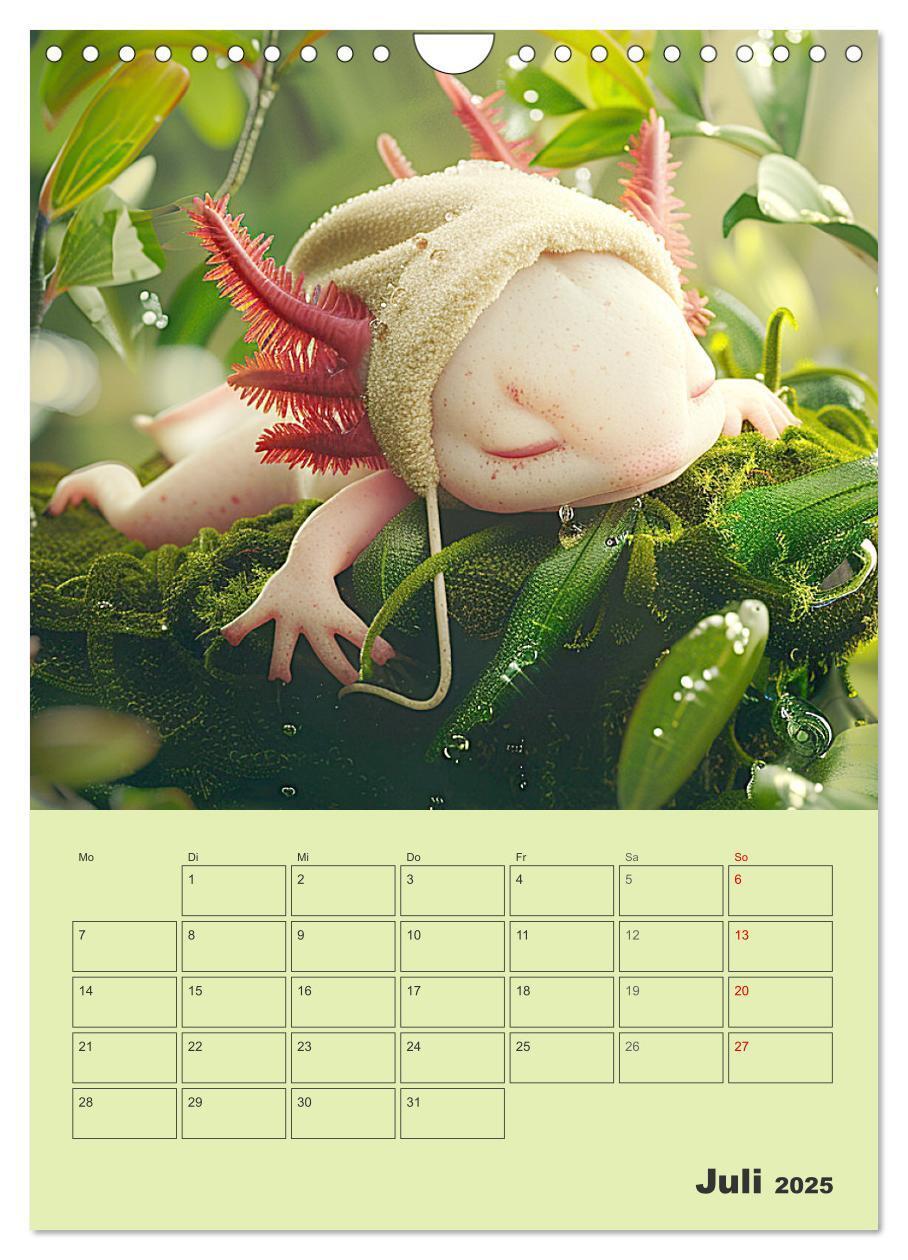 Bild: 9783383807602 | Axolotl. Lustiger Schwanzlurch mit Superkräften (Wandkalender 2025...