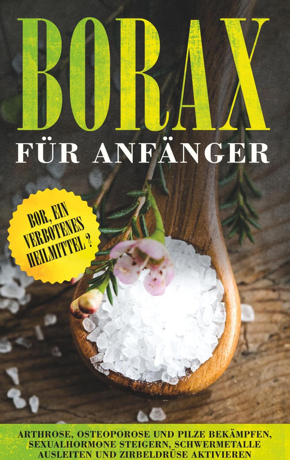 Cover: 9783752895964 | Borax für Anfänger: Bor, ein verbotenes Heilmittel? - Arthrose,...