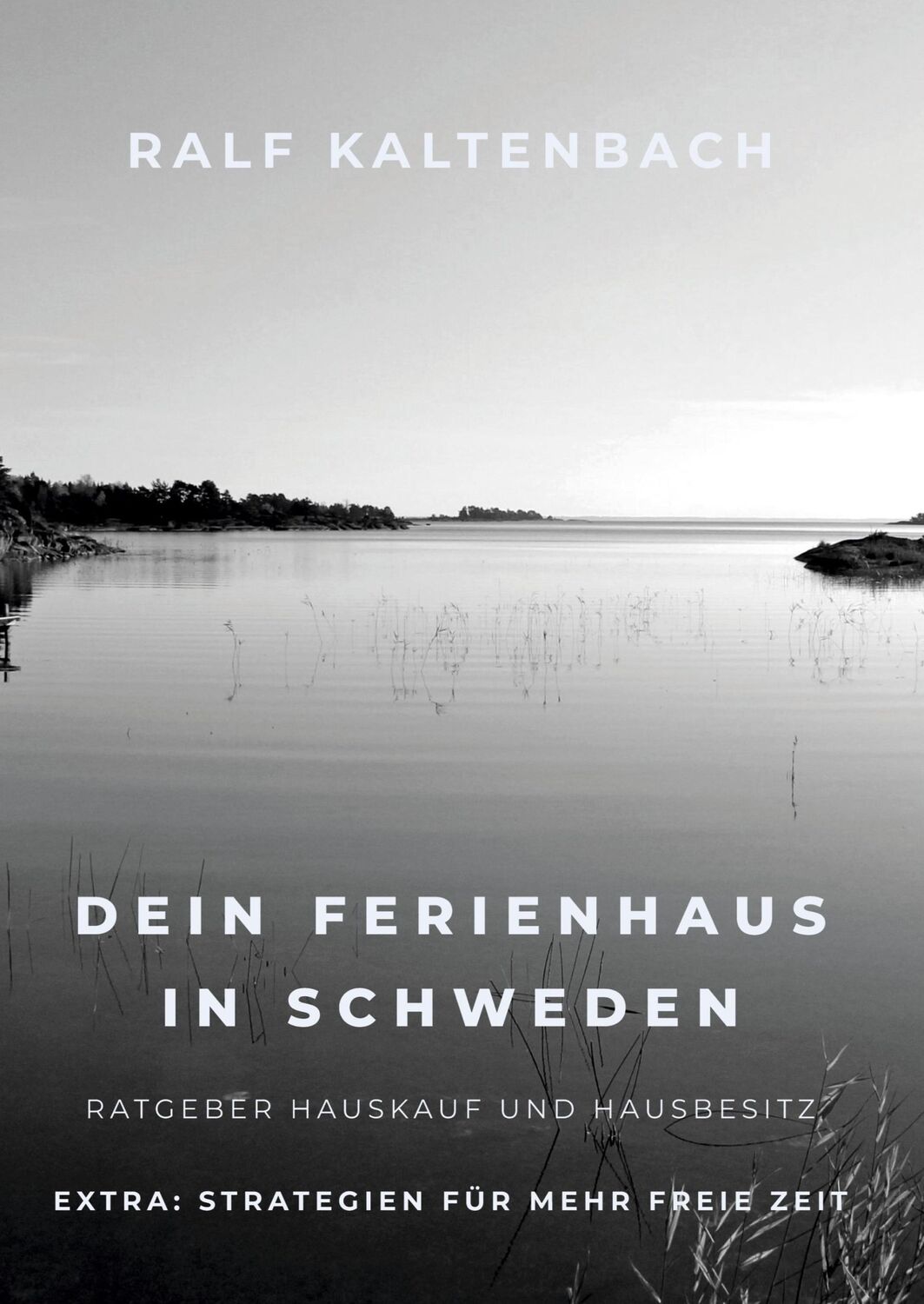 Cover: 9783347390416 | Dein Ferienhaus in Schweden | Ratgeber Hauskauf und Hausbesitz | Buch