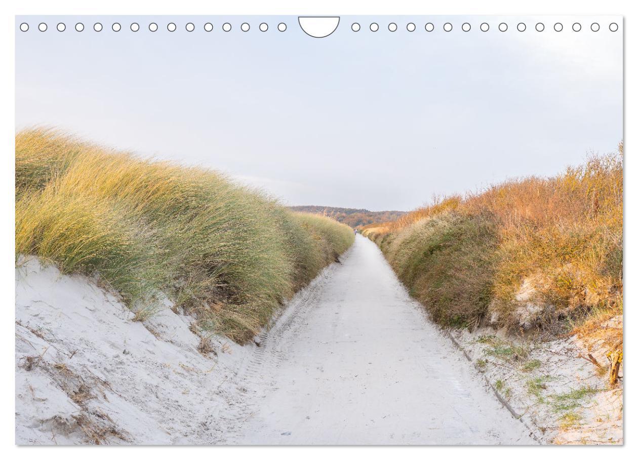 Bild: 9783383848155 | Inseelfeeling - Hiddensee (Wandkalender 2025 DIN A4 quer), CALVENDO...