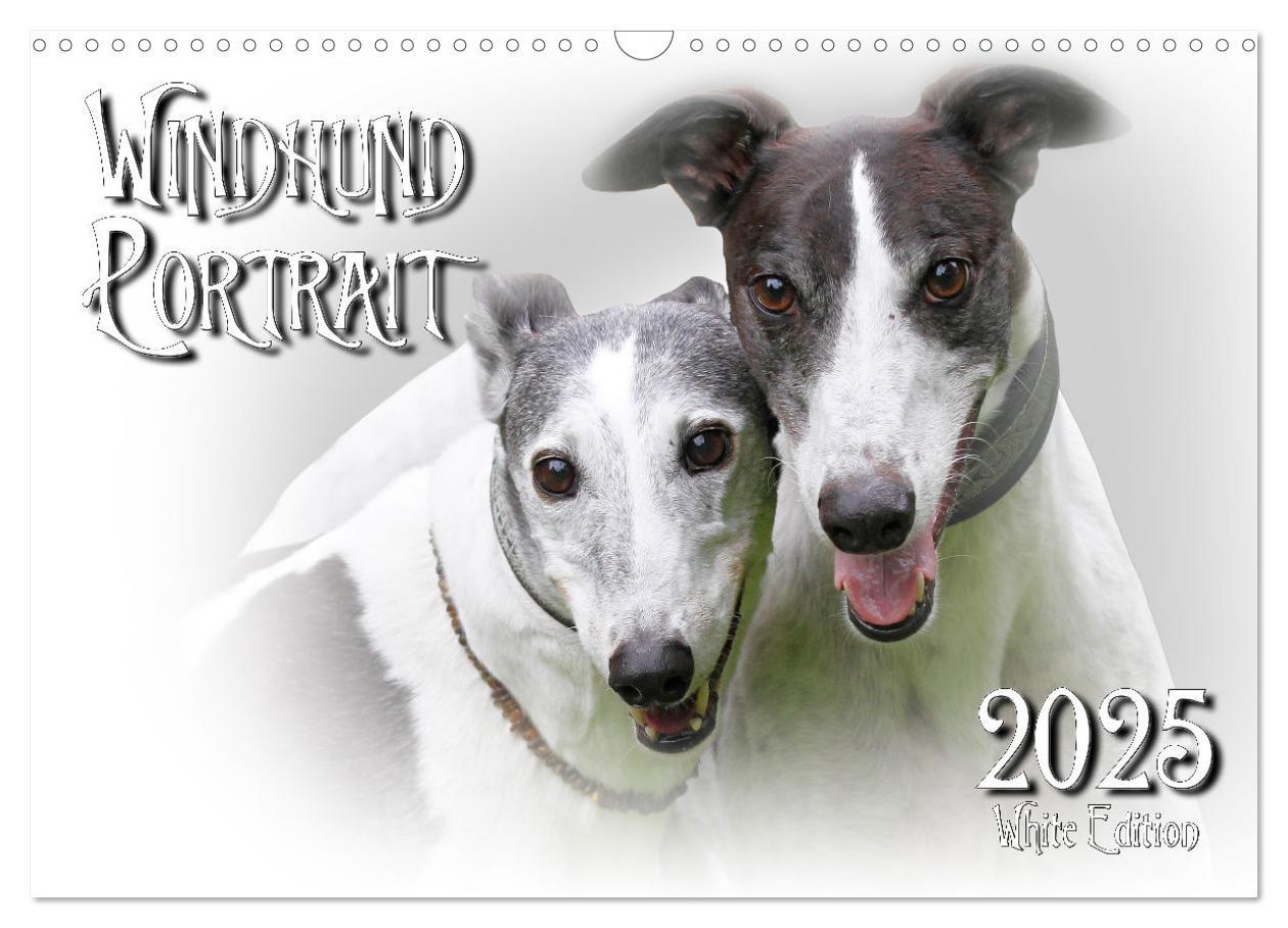 Cover: 9783383823978 | Windhund Portrait 2025 White Edition (Wandkalender 2025 DIN A3...