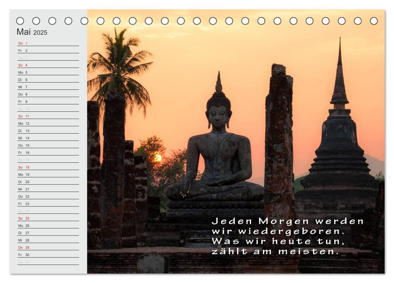 Bild: 9783435550104 | BUDDHA Buddhistische Weisheiten (Tischkalender 2025 DIN A5 quer),...