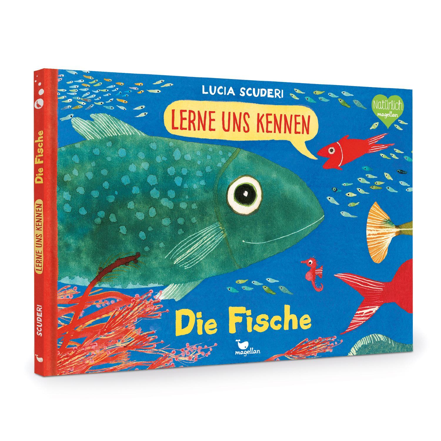 Bild: 9783734860058 | Lerne uns kennen - Die Fische | Lucia Scuderi | Buch | 40 S. | Deutsch