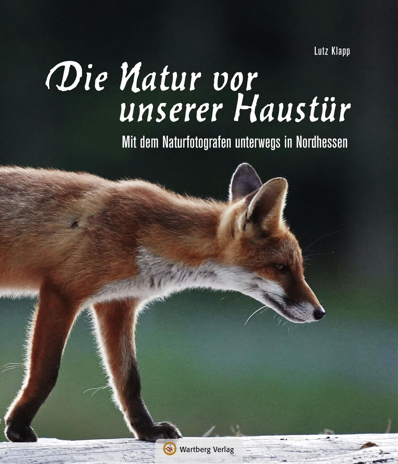 Cover: 9783831333097 | Nordhessen - Die Natur vor unserer Haustür | Lutz Klapp | Buch | 96 S.