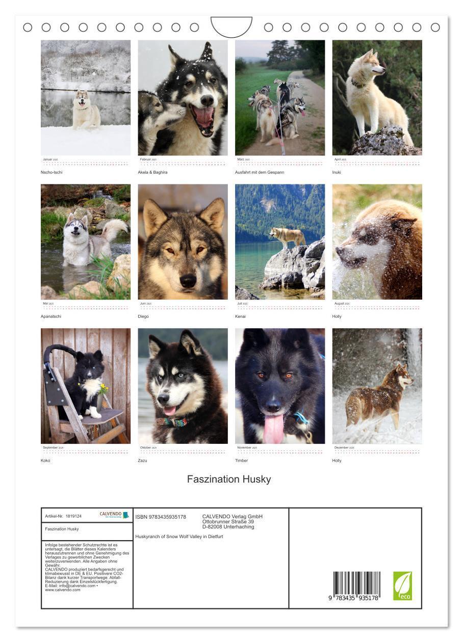 Bild: 9783435935178 | Faszination Husky (Wandkalender 2025 DIN A4 hoch), CALVENDO...